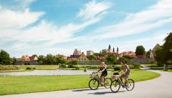 жк зеленые аллеи миц