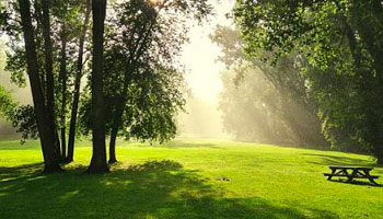 лайф ботанический сад застройщик