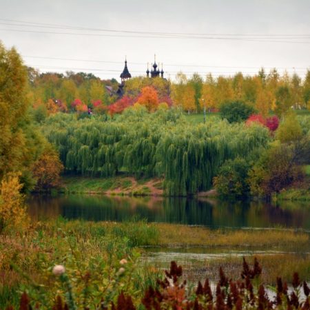 жк мир митино в контакте