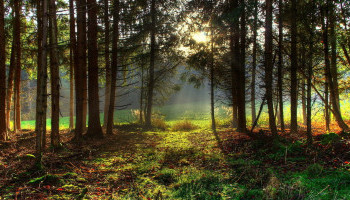 жк остафьево форум