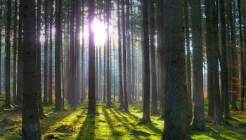 жк лукино варино фото