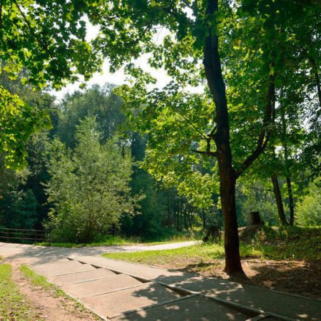 жк новый раменский отзывы