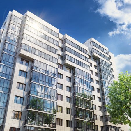 дом счастье в вешняках