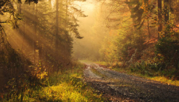 жк настроение официальный сайт