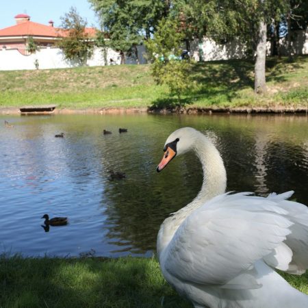 г москва жк дубровка