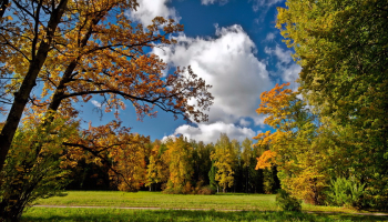 жк новое тушино путилково