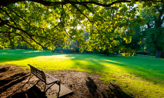 жк фреш дон строй