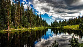 императорские мытищи отзывы